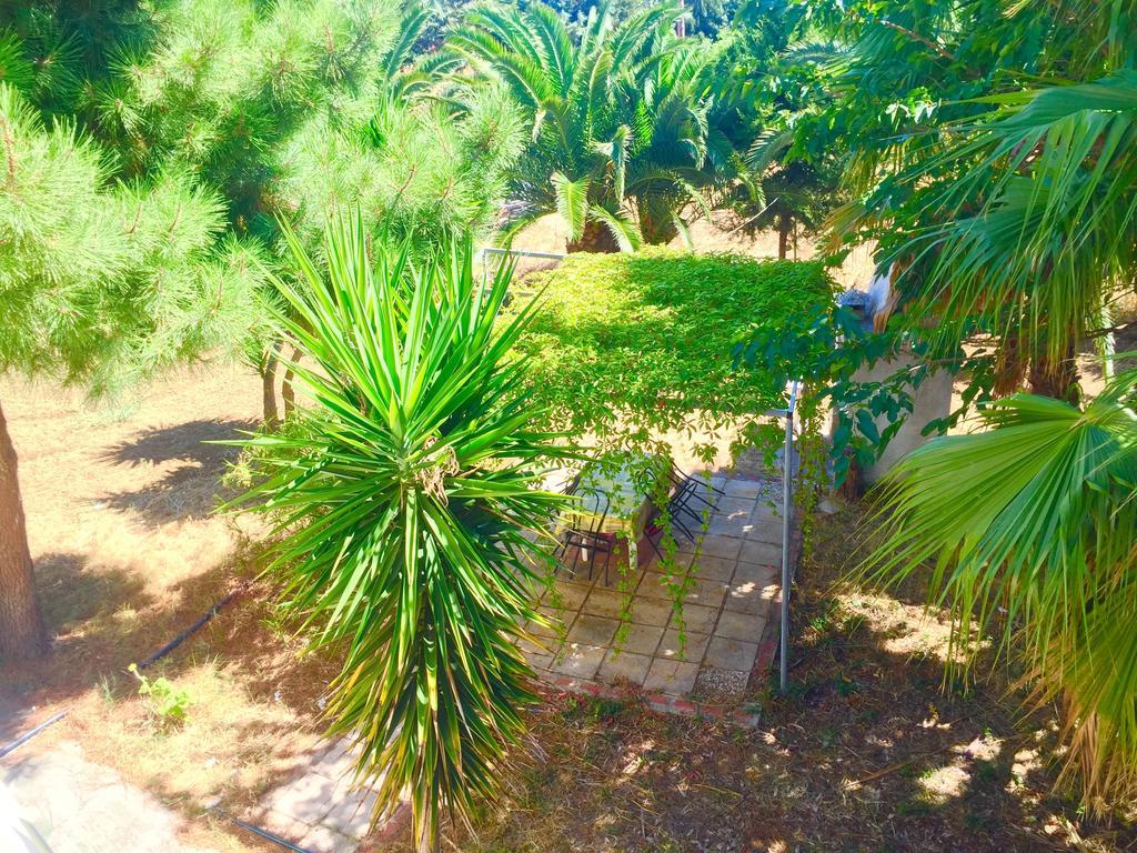 Apartmán Ionos Pyrgi Thermis Exteriér fotografie