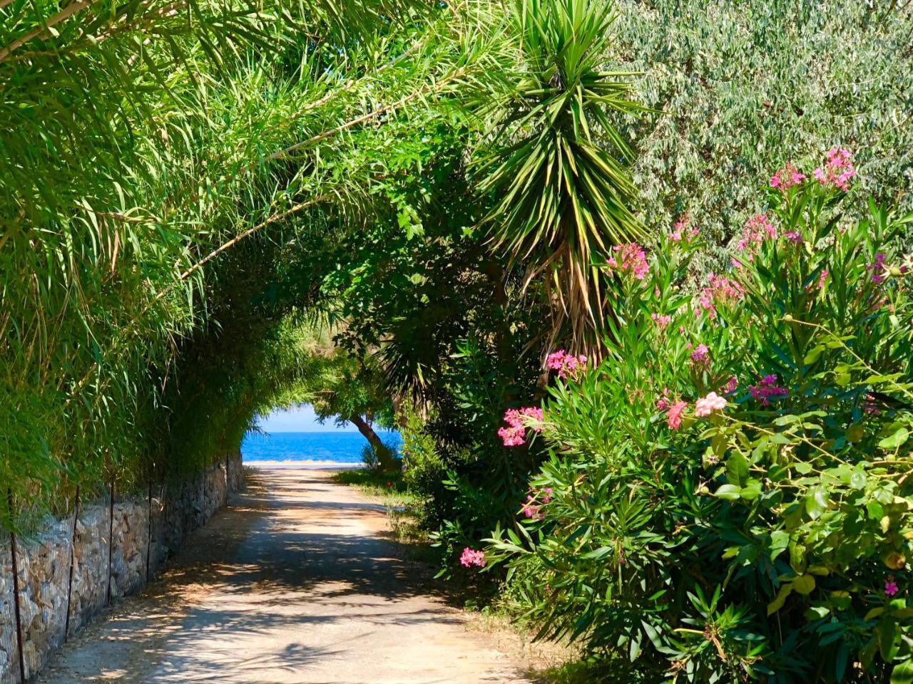 Apartmán Ionos Pyrgi Thermis Exteriér fotografie